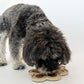 【ペット用食器】LICK MAT