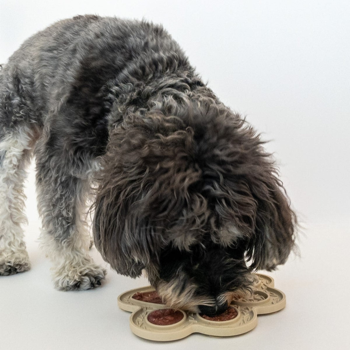 【ペット用食器】LICK MAT